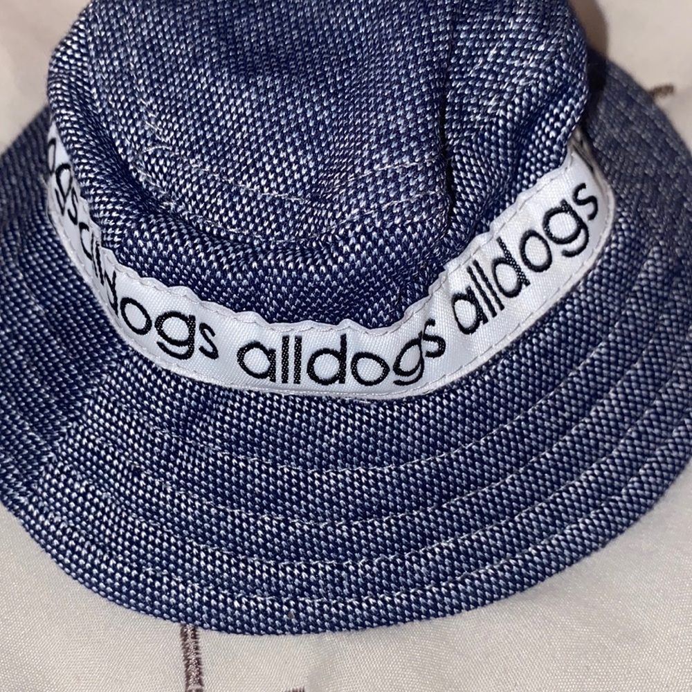 Dog hat✨